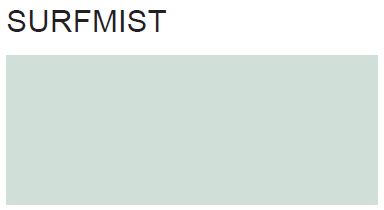 SURFMIST COLOUR SEALER 1 LITRE